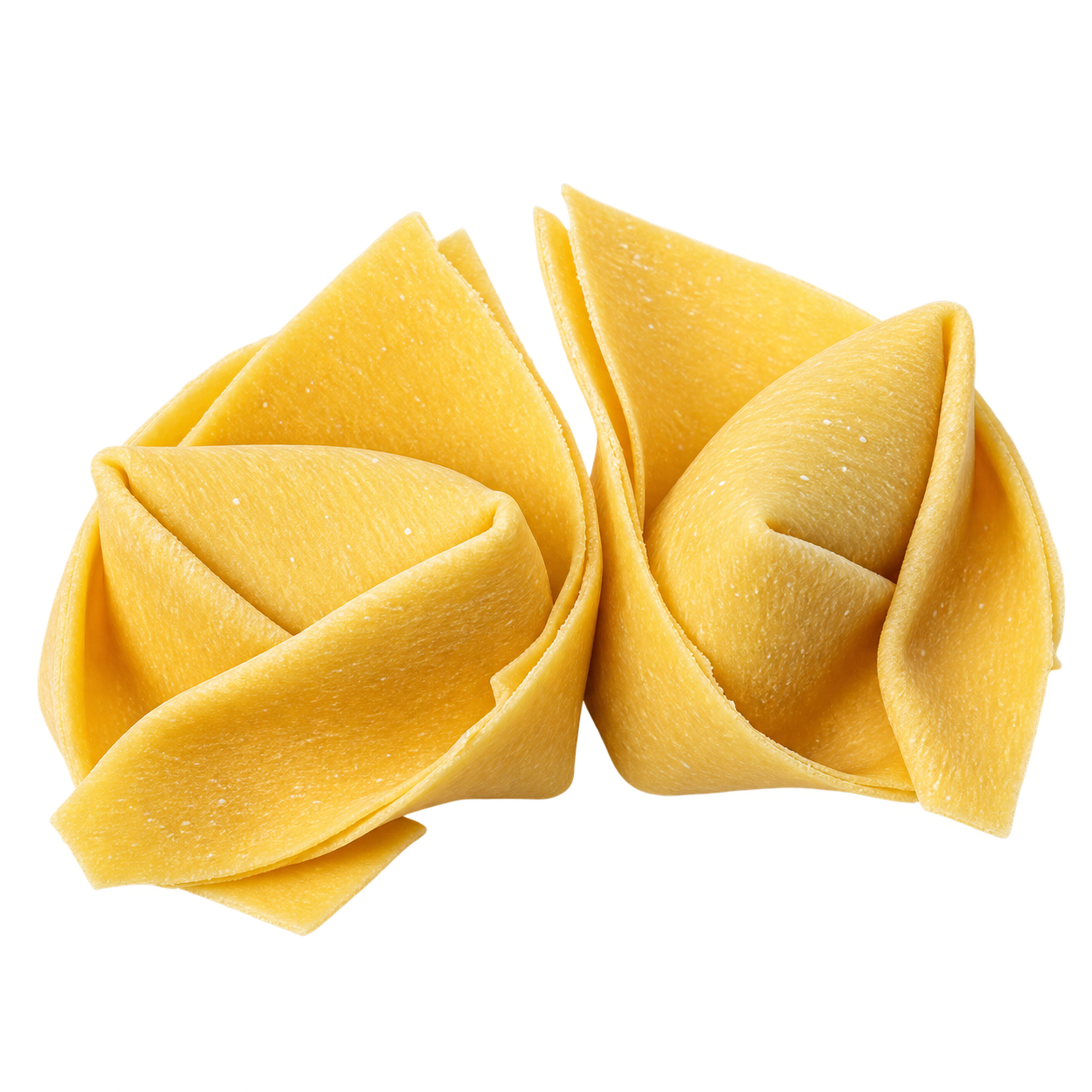 Tortelloni fatti a mano